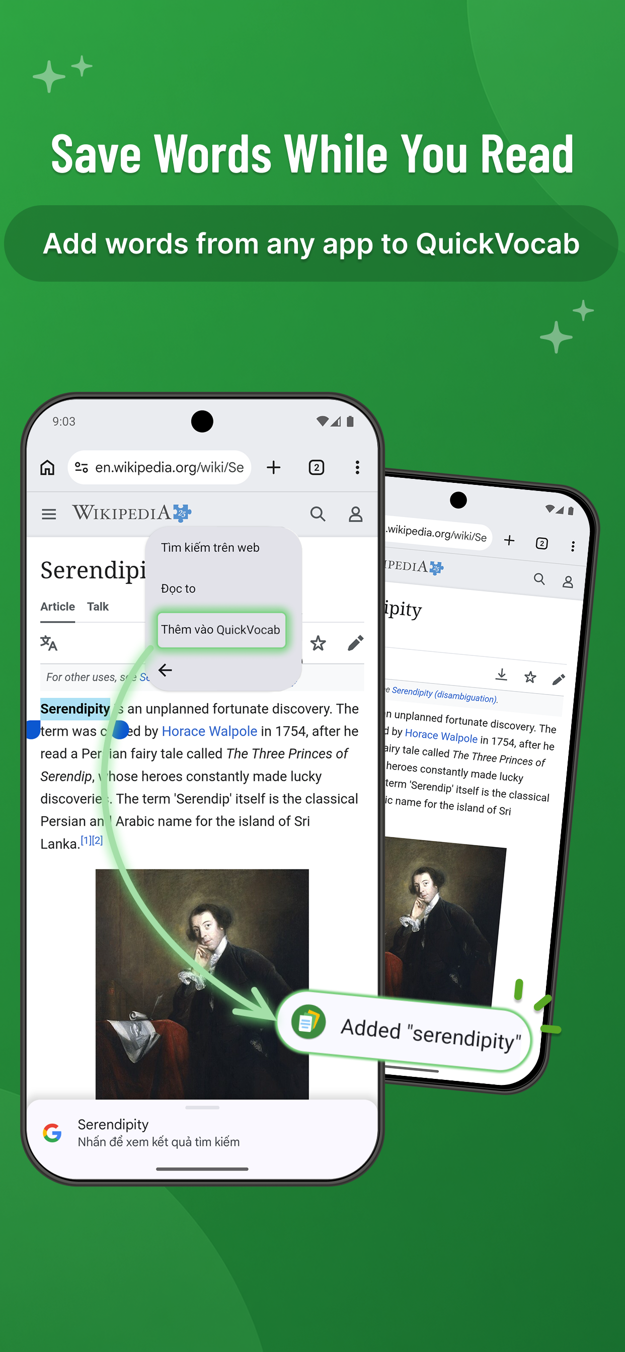 Dictionary Search & Card Import